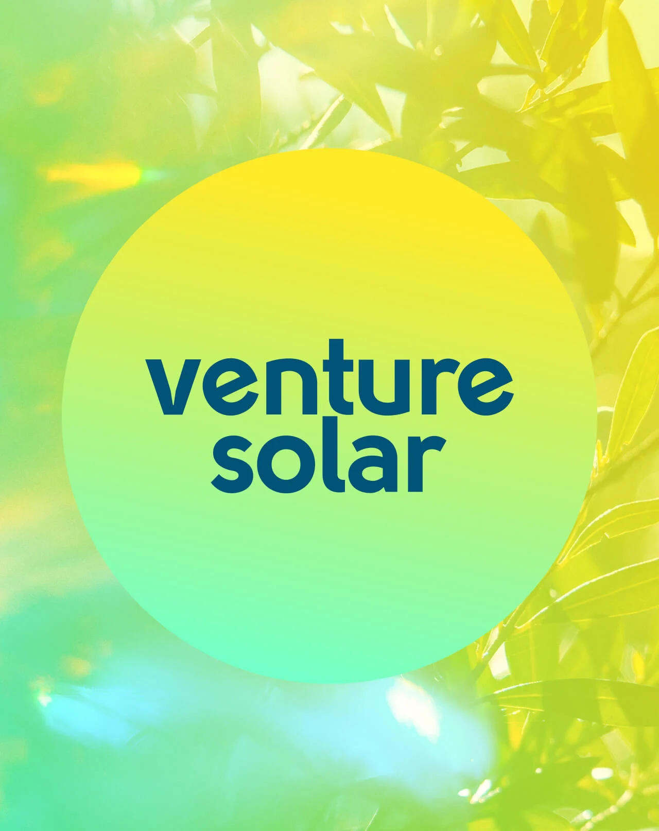 Venture Solar Marketing Agency